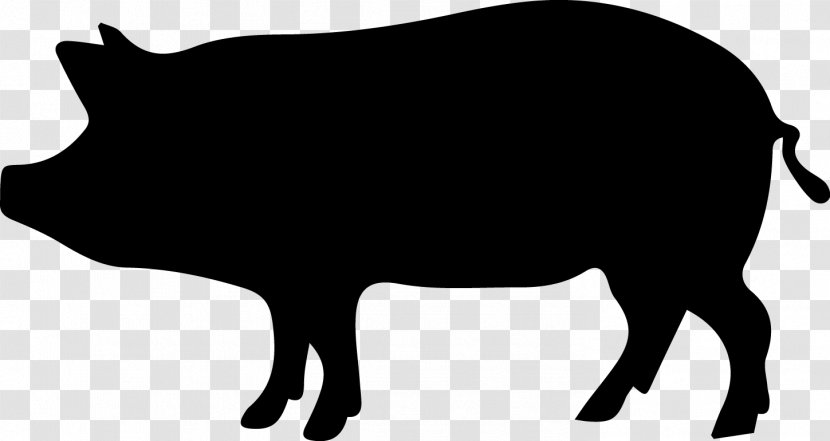 Wild Boar Clip Art - Sticker - Porco Transparent PNG