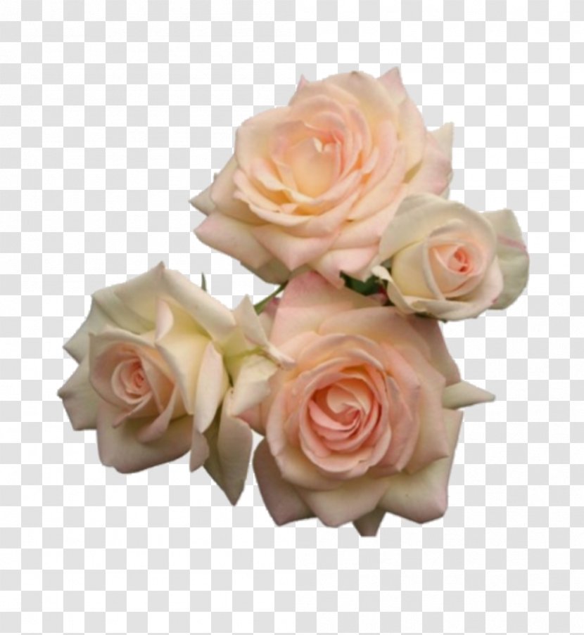 Blue Rose Pink Flowers - Floral Design - Glitter Crown Gold Transparent PNG