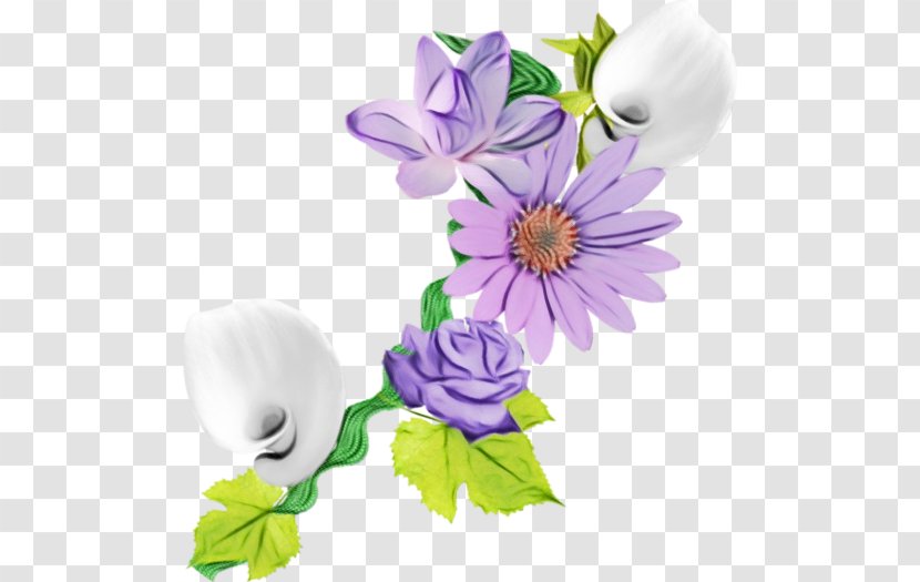 Floral Design Cut Flowers Plant Stem Herbaceous - Violet Transparent PNG