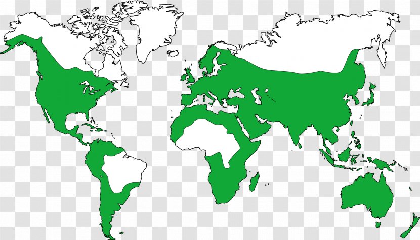 World Map Globe Country - Hemp Transparent PNG