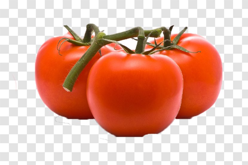 Tomato Cartoon - Diet Food - Still Life Photography Vegetarian Transparent PNG