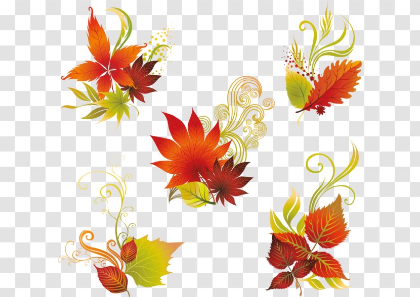 Floral Design Leaf Transparent PNG