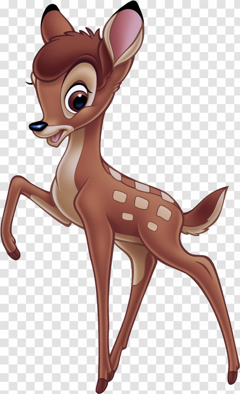 Deer Cartoon Animal Figure Fawn Tail - Animation Transparent PNG