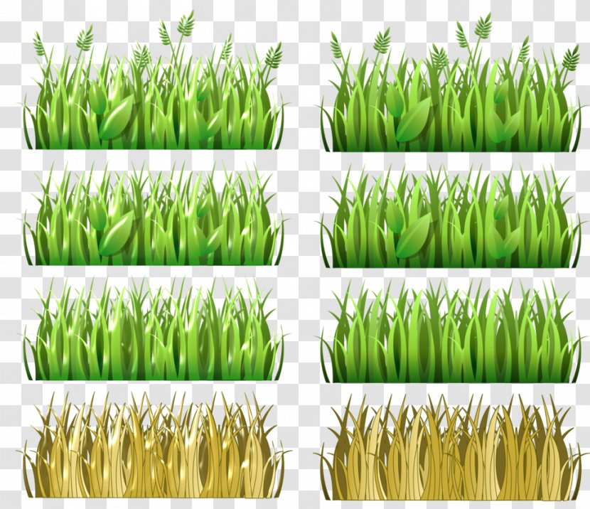 Clip Art Vetiver Image Pasto, Colombia - Meadows Transparent PNG