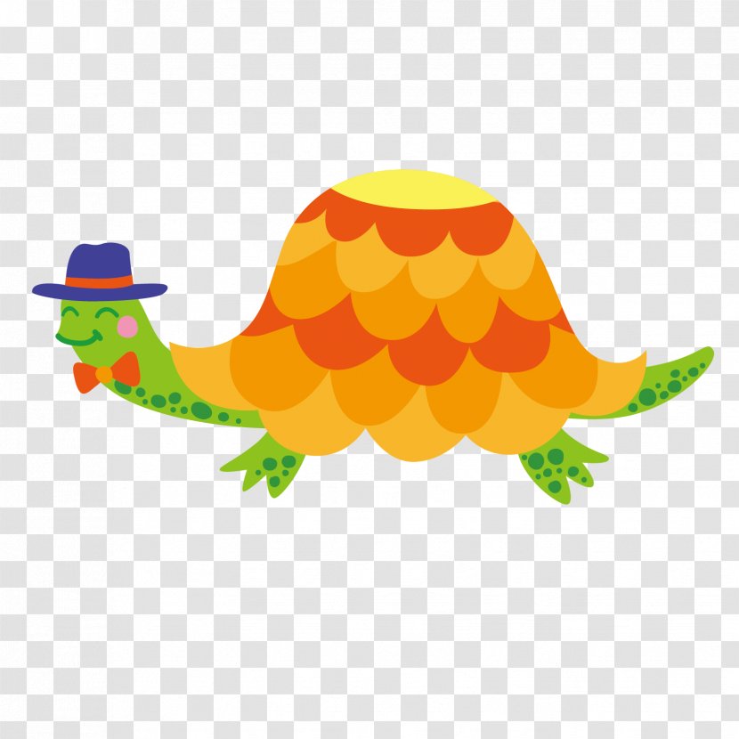 Turtle Cartoon Clip Art - Drawing - Painted Transparent PNG