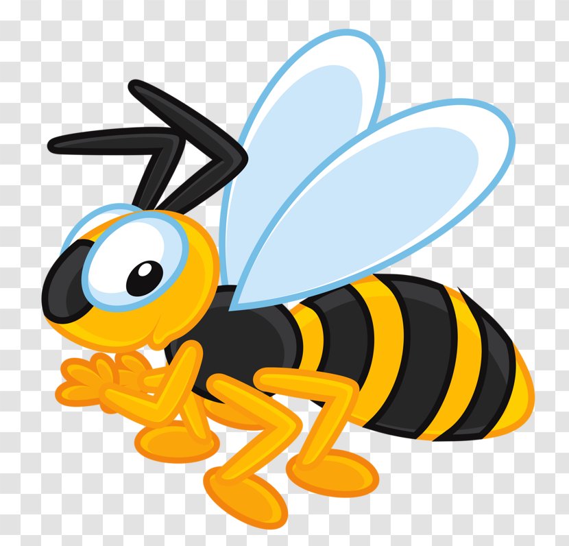 European Dark Bee Insect Beehive Apidae Clip Art - Organism Transparent PNG
