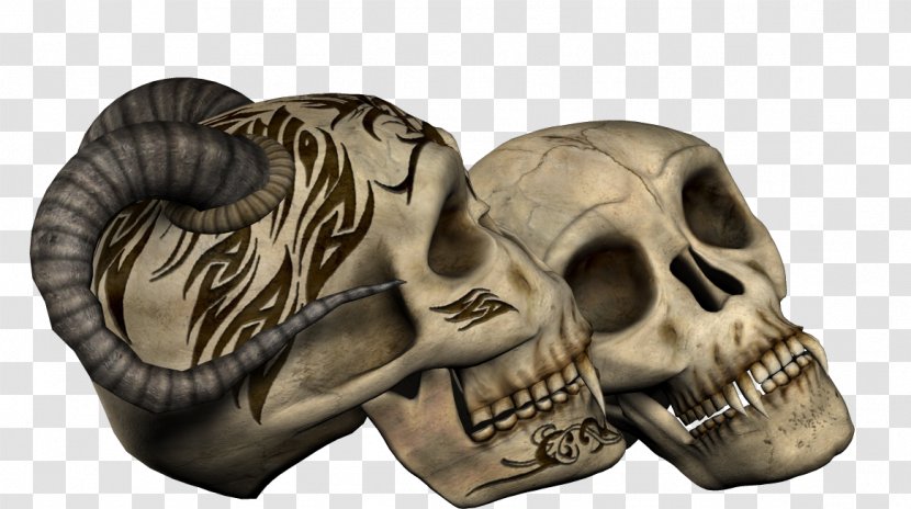 Skull Skeleton Gothic Art Photography - Cemetery Transparent PNG