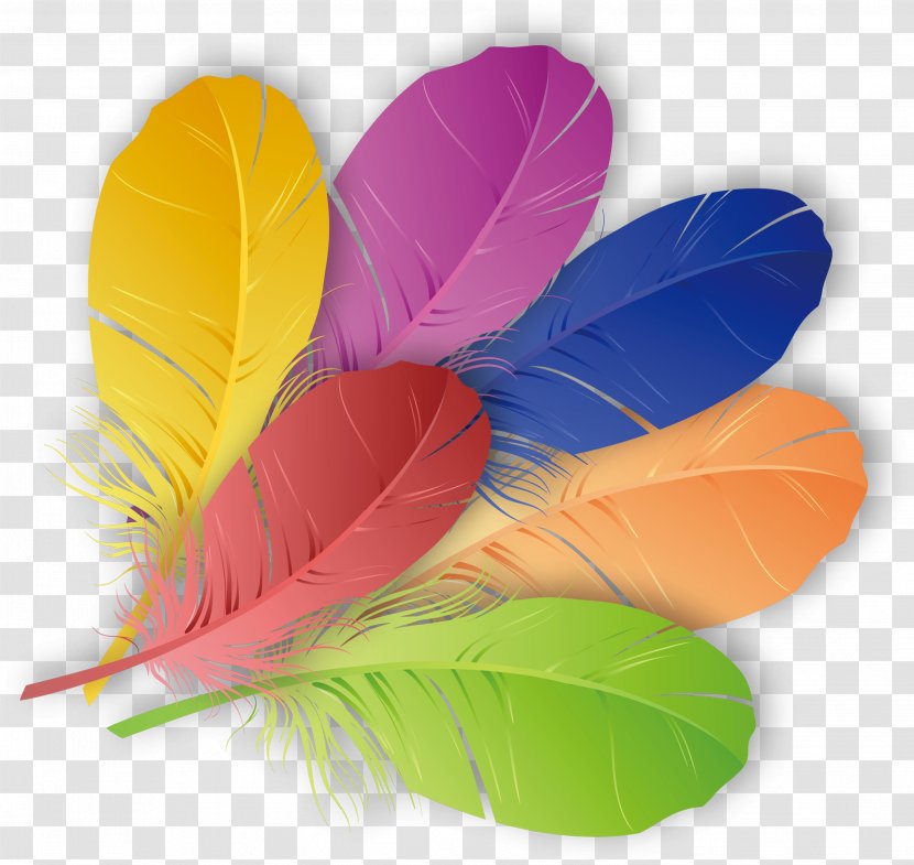 The Floating Feather Color - Petal - Colored Feathers Transparent PNG