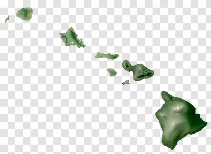 Kalawao County, Hawaii Maui Kauai - County - Aloha Welcome To Transparent PNG
