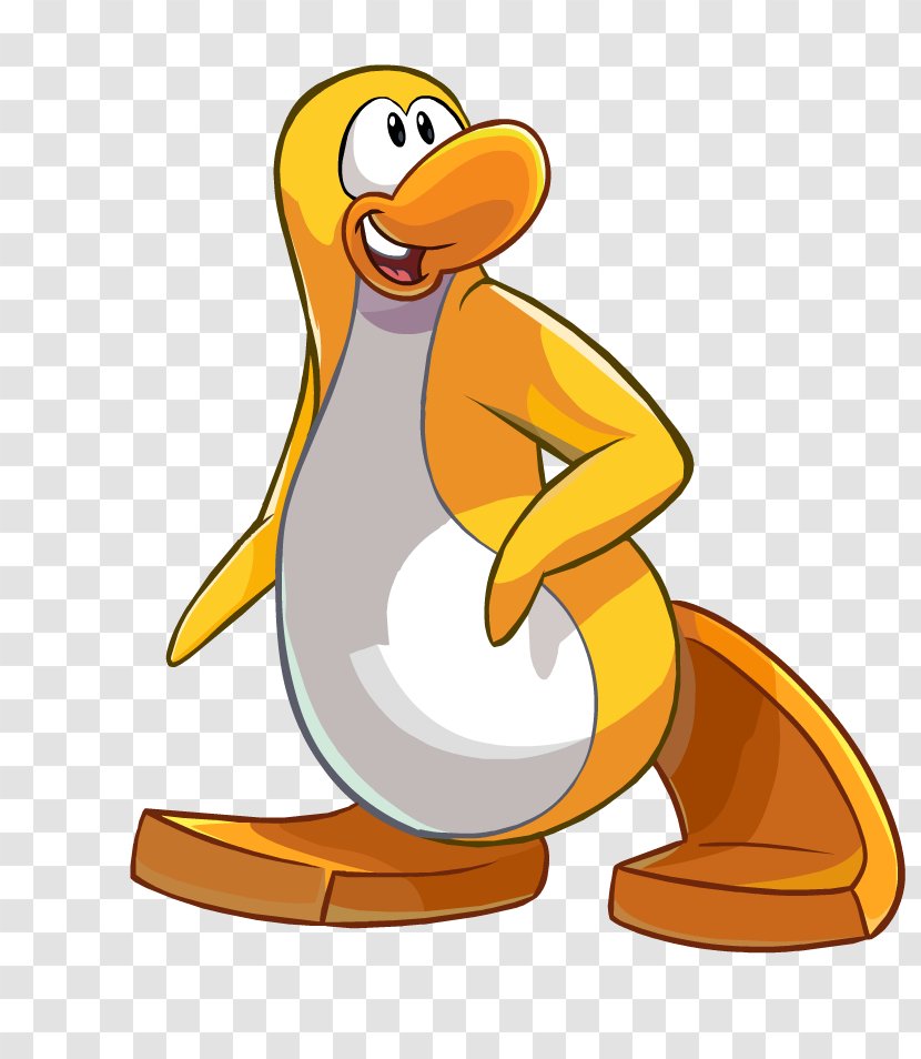 Club Penguin Island Wiki Yellow-eyed - Ducks Geese And Swans Transparent PNG
