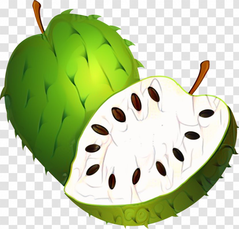 Plant Leaf - Annona Transparent PNG