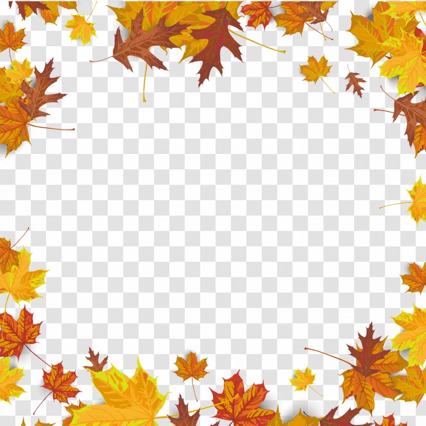 Maple Leaf Autumn Color - Pattern - Background Transparent PNG