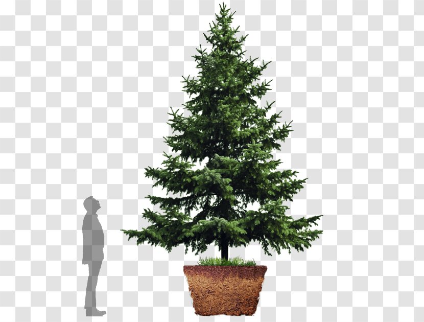 Artificial Christmas Tree Stock Photography - Pine Family Transparent PNG