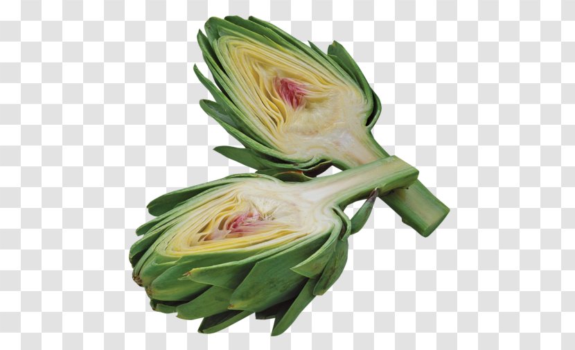 Artichoke Food Kohlrabi - Floral Design - Vegetable Transparent PNG