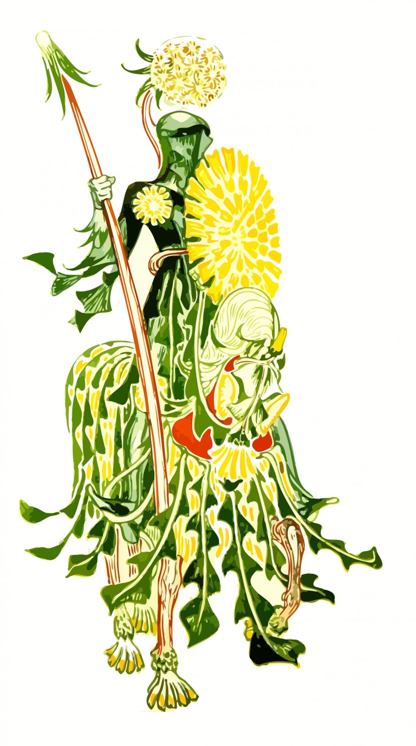 A Floral Fantasy In An Old English Garden Illustrator - Botanical Illustration - Dandelion Transparent PNG