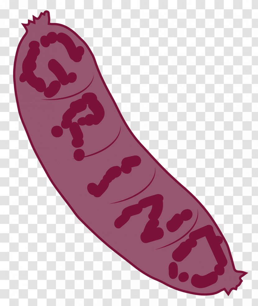 Vegetable Cartoon - Food Transparent PNG