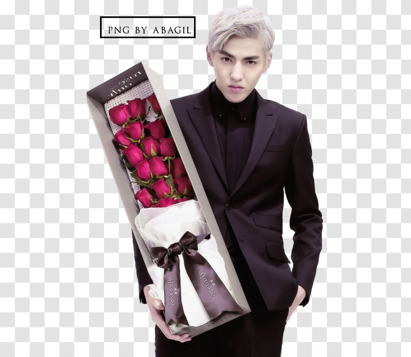 Kris Wu The Rap Of China EXO-M Actor - Idea Transparent PNG