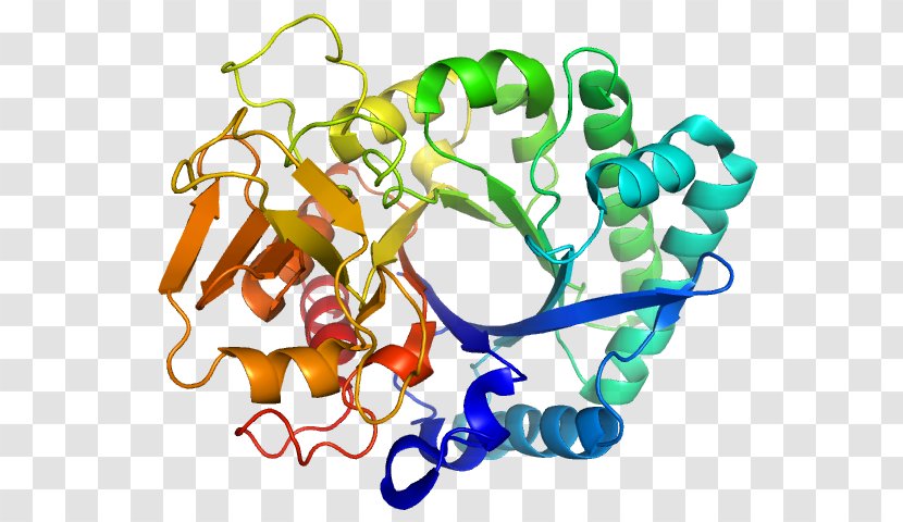 Protein Folding Beta Sheet Alpha Helix - Molecule Transparent PNG