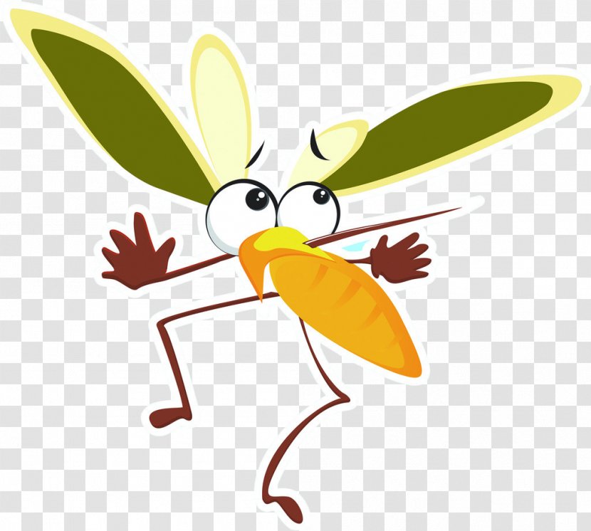 Mosquito Fly Cartoon - Animation Transparent PNG