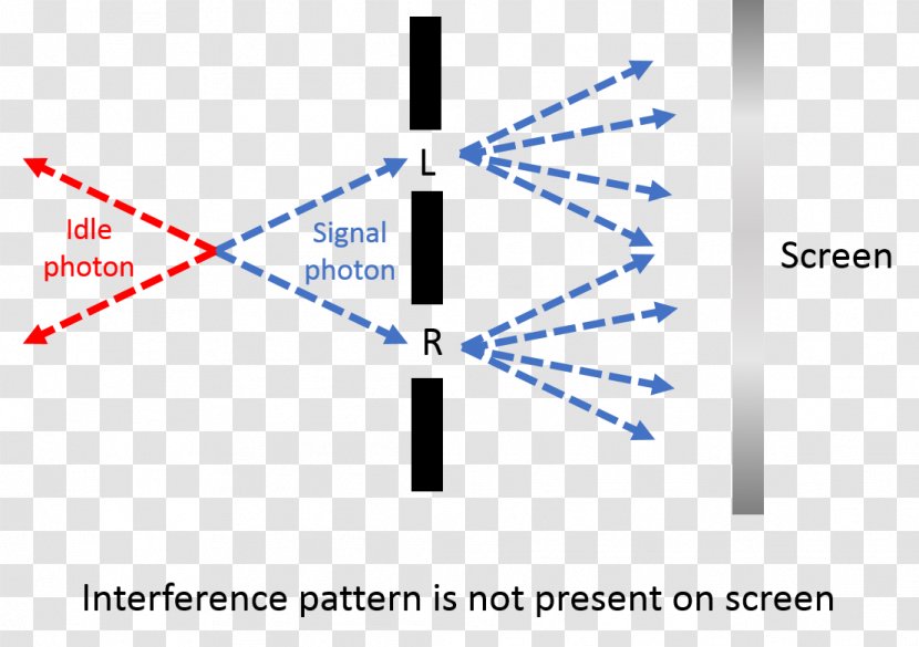 Double-slit Experiment Quantum Entanglement Eraser Wave Interference - Text - Science Transparent PNG