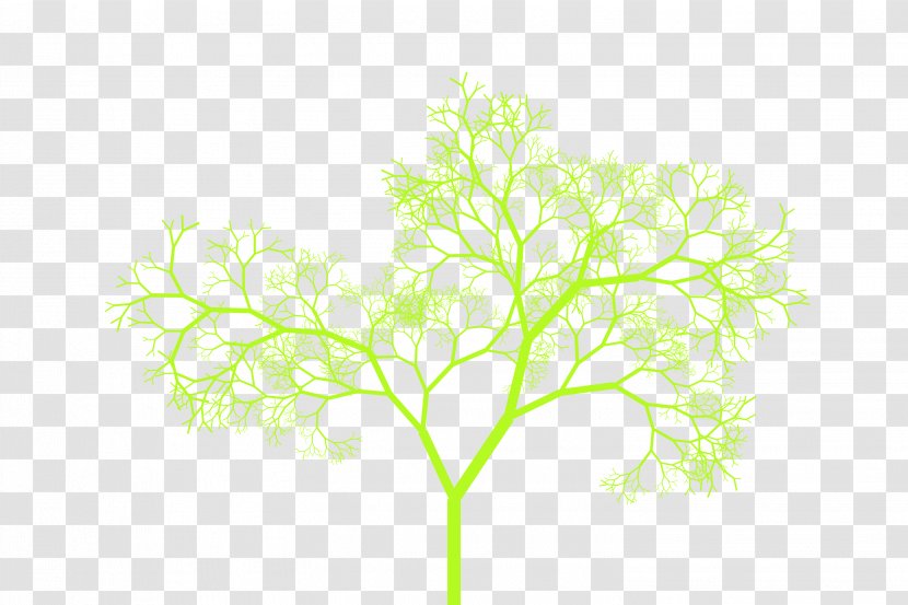 Twig Plant Stem Leaf Font - Grass Transparent PNG
