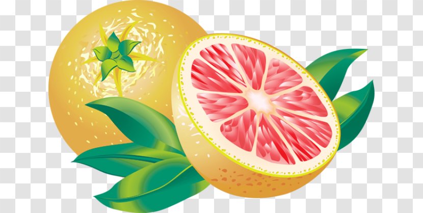 Juice Grapefruit Lemon Clip Art - Mirinda - Pictures Of Citrus Fruits Transparent PNG