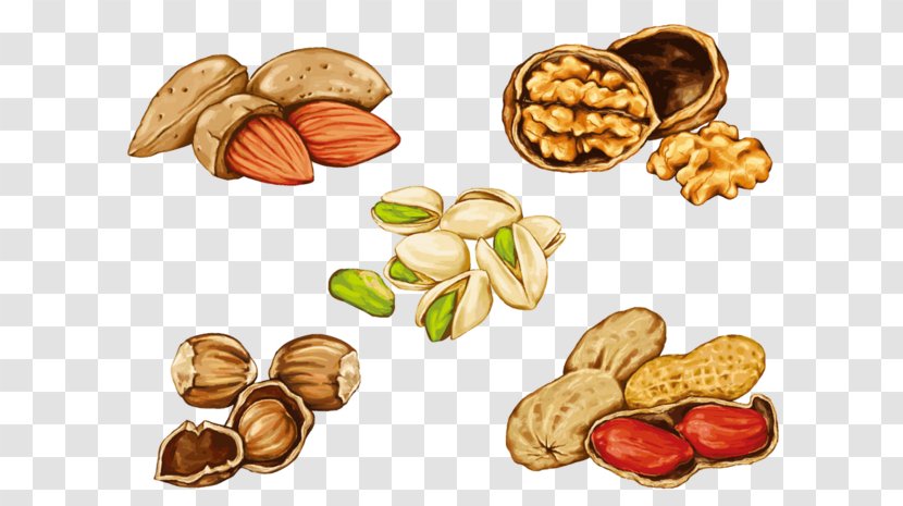 Drawing Of Family - Mixed Nuts - Cuisine Cashew Transparent PNG