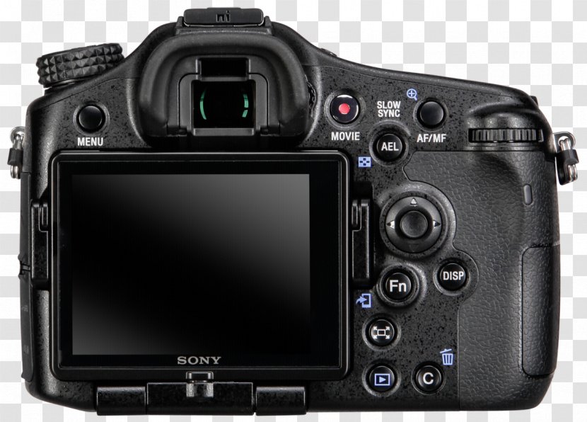 Digital SLR Olympus E-500 Mirrorless Interchangeable-lens Camera Lens Single-lens Reflex - Corporation - Sony Alpha Transparent PNG