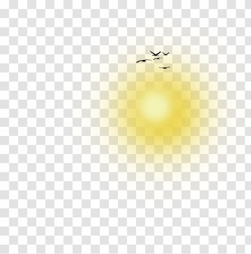 Sun Light - White - Starlight Transparent PNG