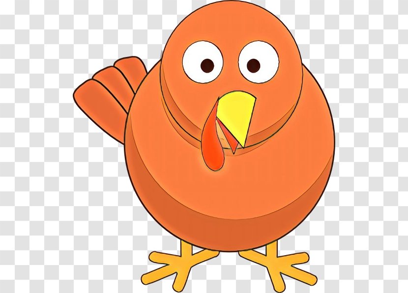 Orange - Beak - Chicken Transparent PNG