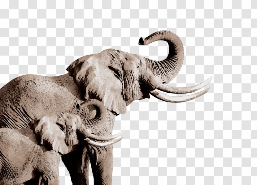 Indian Elephant - Stock Photography Working Animal Transparent PNG