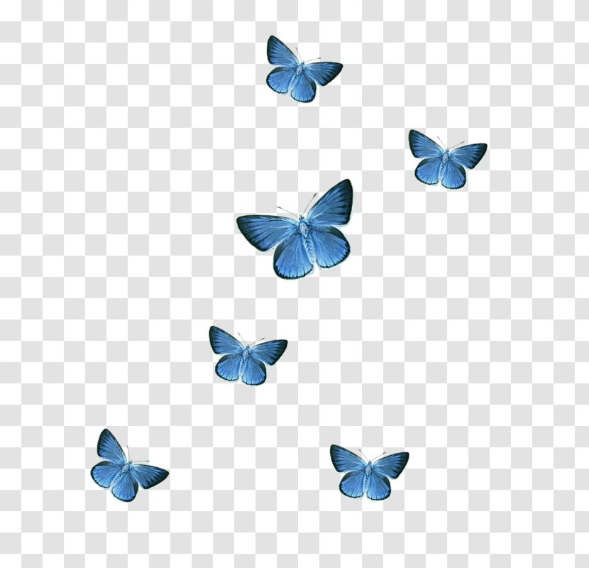 Butterfly Icon - Pollinator - Blue Transparent PNG
