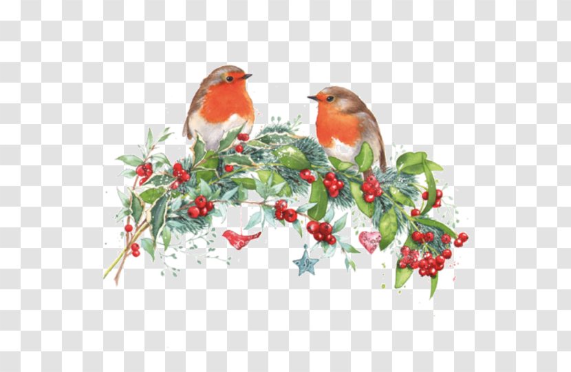 Christmas Robin Drawing Pin - Bird - Wishing Tree Transparent PNG