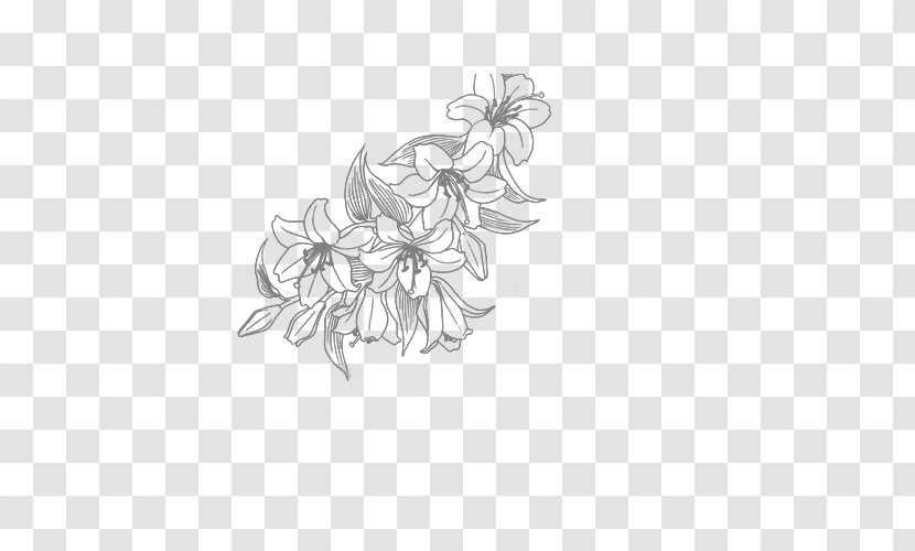 Flower Line Art Drawing - Flowering Plant Transparent PNG