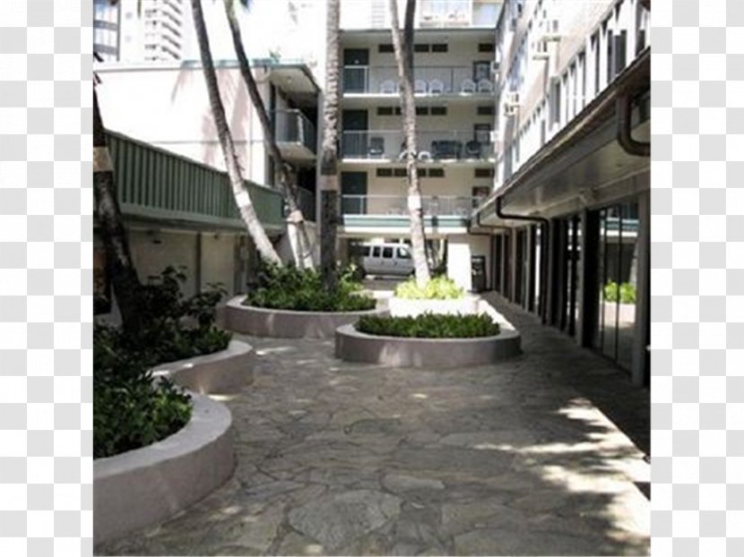 Kuhio Banyan Club Hotel Avenue Resort Expedia - Landscaping Transparent PNG