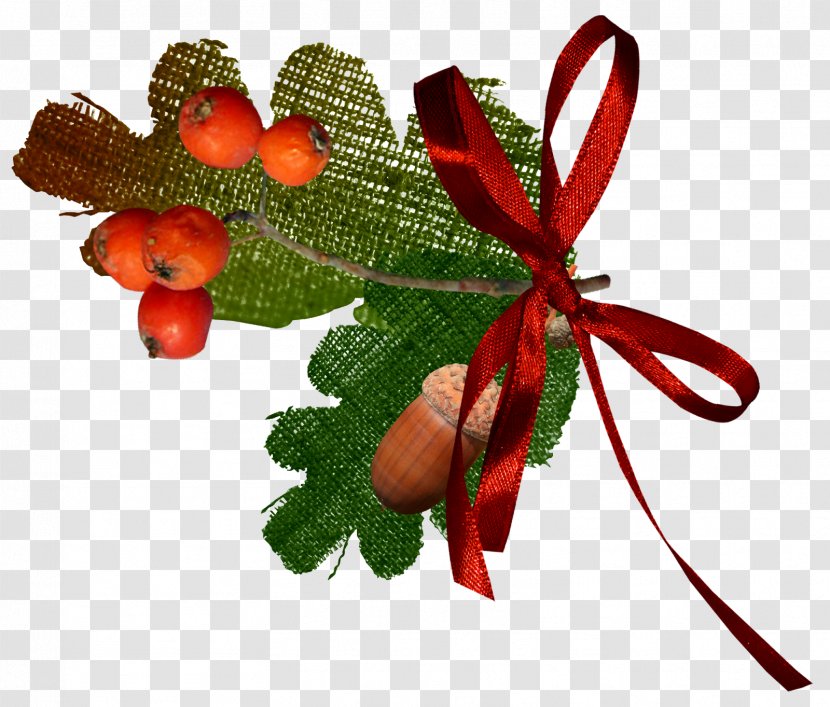 Photography Leaf Drawing Blog Photo Albums - Yandex - Rosehips Ornament Transparent PNG