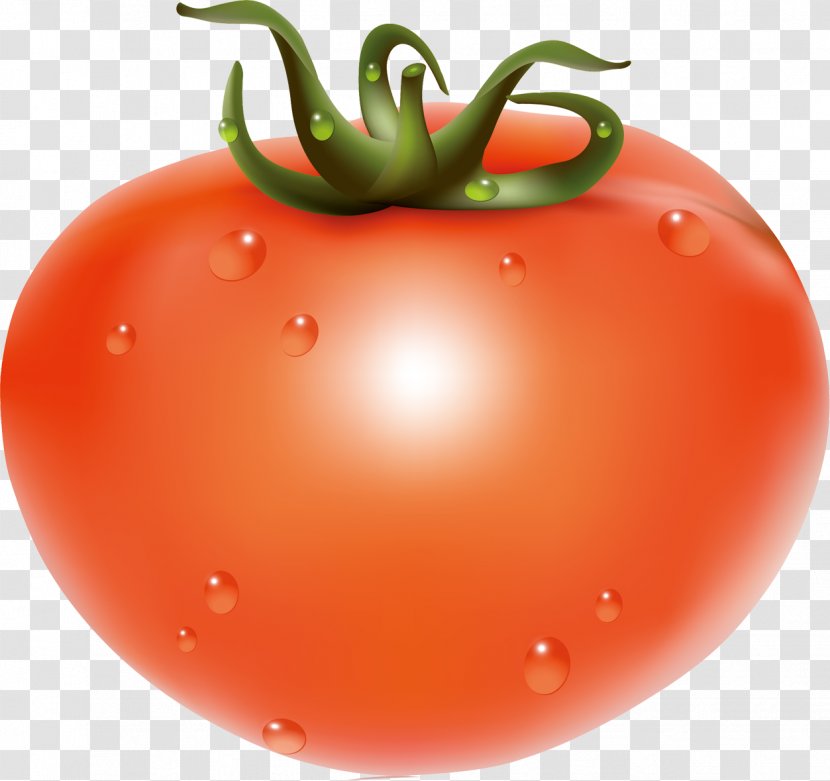 Cherry Tomato Fruit Food Vegetable - Auglis - Vector Transparent PNG