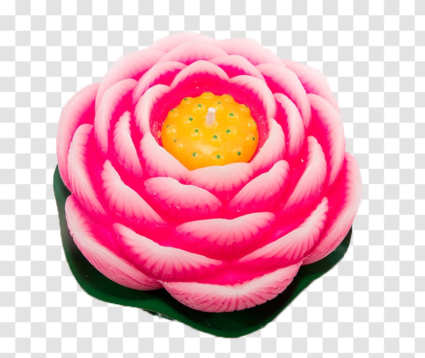 Pink Download - A Rose Lotus Shaped Lamp Holder Transparent PNG