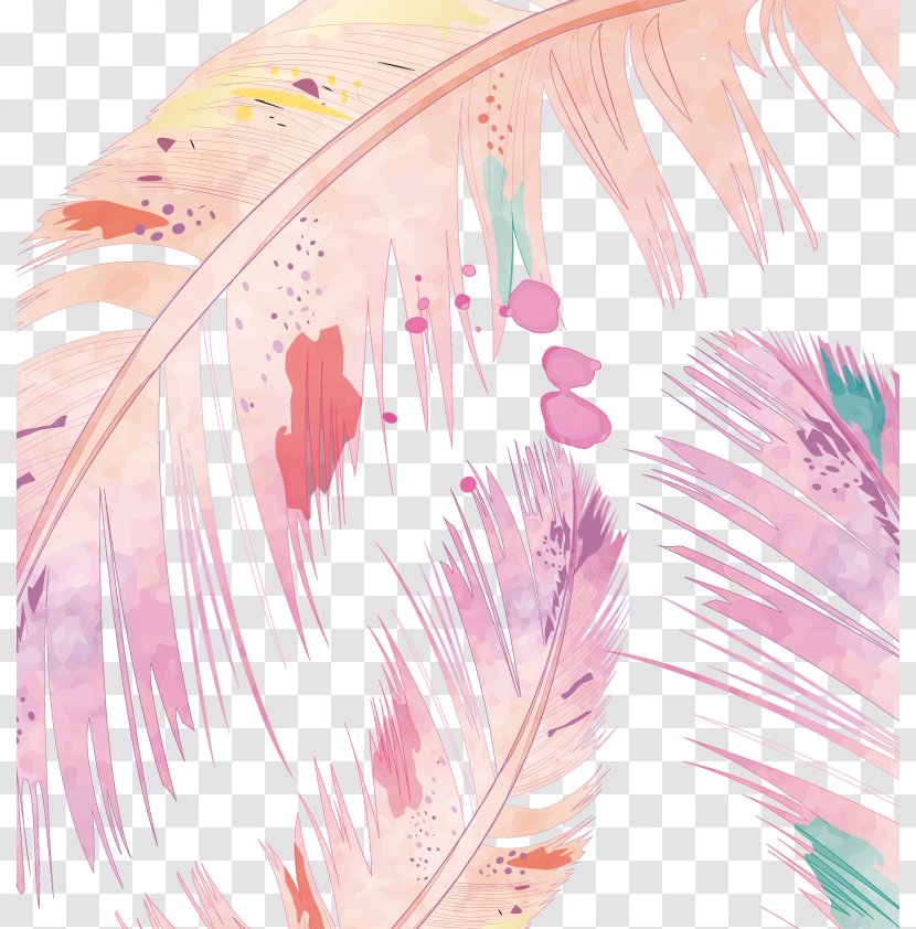 Feather Watercolor Painting - Drawing - Vector Transparent PNG