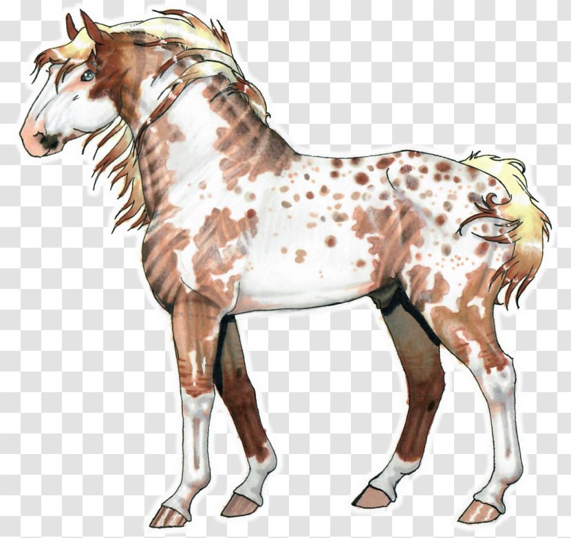 Mustang Stallion Foal Colt Mare Transparent PNG