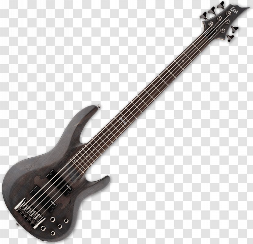 Fender Precision Bass Guitar Musical Instruments - Flower Transparent PNG
