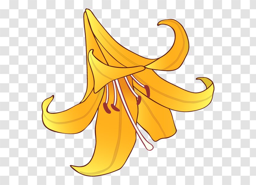Banana Clip Art Flower Leaf - Yellow Transparent PNG