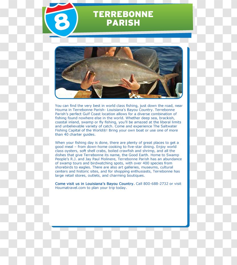 Organism Brochure Transparent PNG