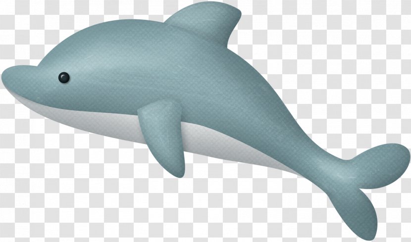 Porpoise Tucuxi Common Bottlenose Dolphin Animal - Fish Transparent PNG