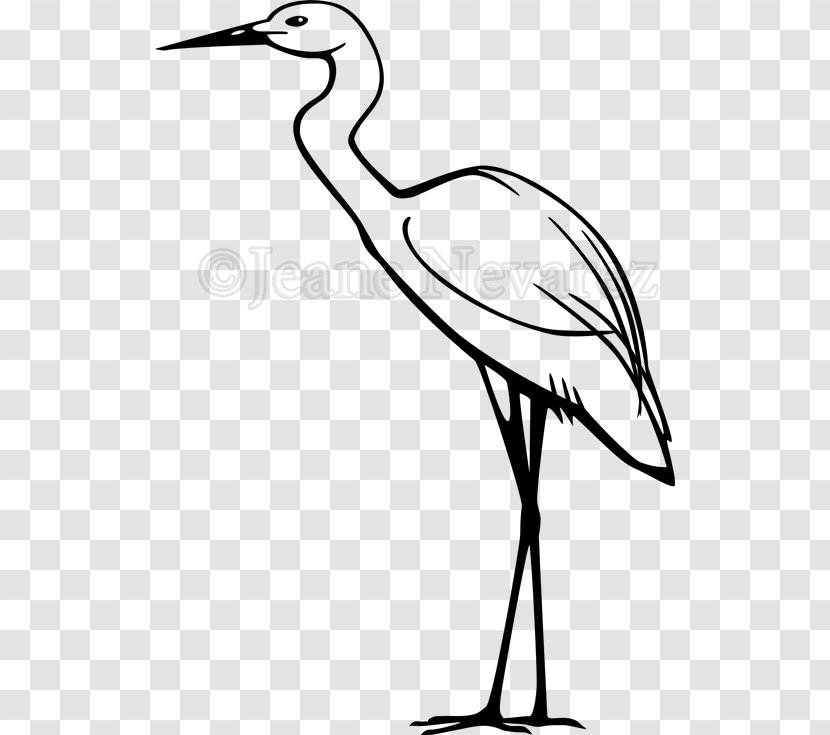 Heron Clip Art Great Egret Snowy - Tree - Hyraxes Transparent PNG