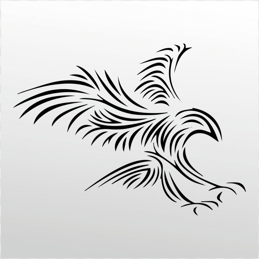Bird Bald Eagle Clip Art - Feather Transparent PNG