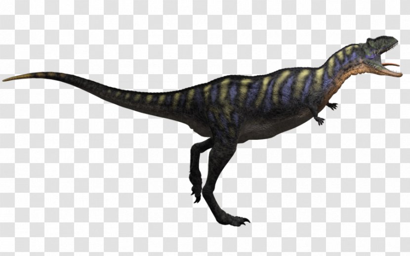 Tyrannosaurus Aucasaurus Velociraptor Ornitholestes Theropods - Carnivore - Dinosaur Transparent PNG
