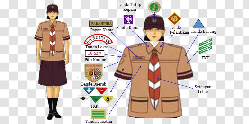 Seragam Pramuka Cub Scout Gerakan Indonesia Uniform - Outerwear - Siaga 1 Transparent PNG