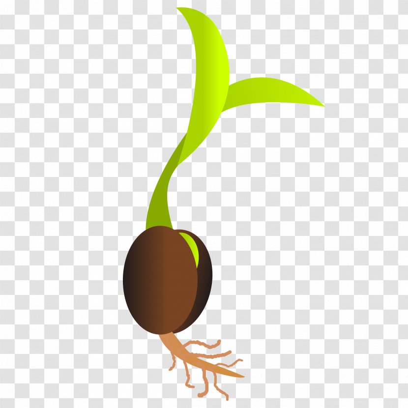 Seed Sprouting Germination Clip Art - Seedling - Fruit Transparent PNG