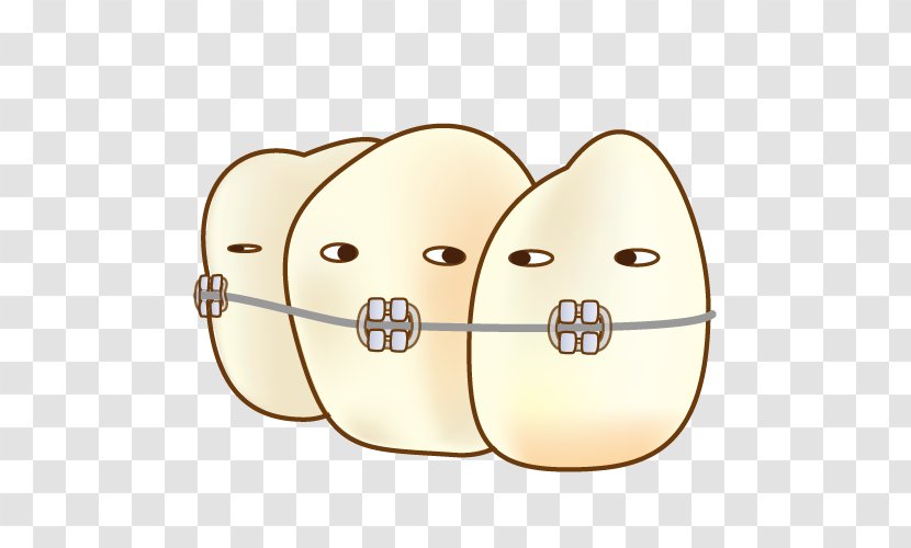Dental Braces Dentistry 矯正歯科 Dentition - Flower - Character Transparent PNG